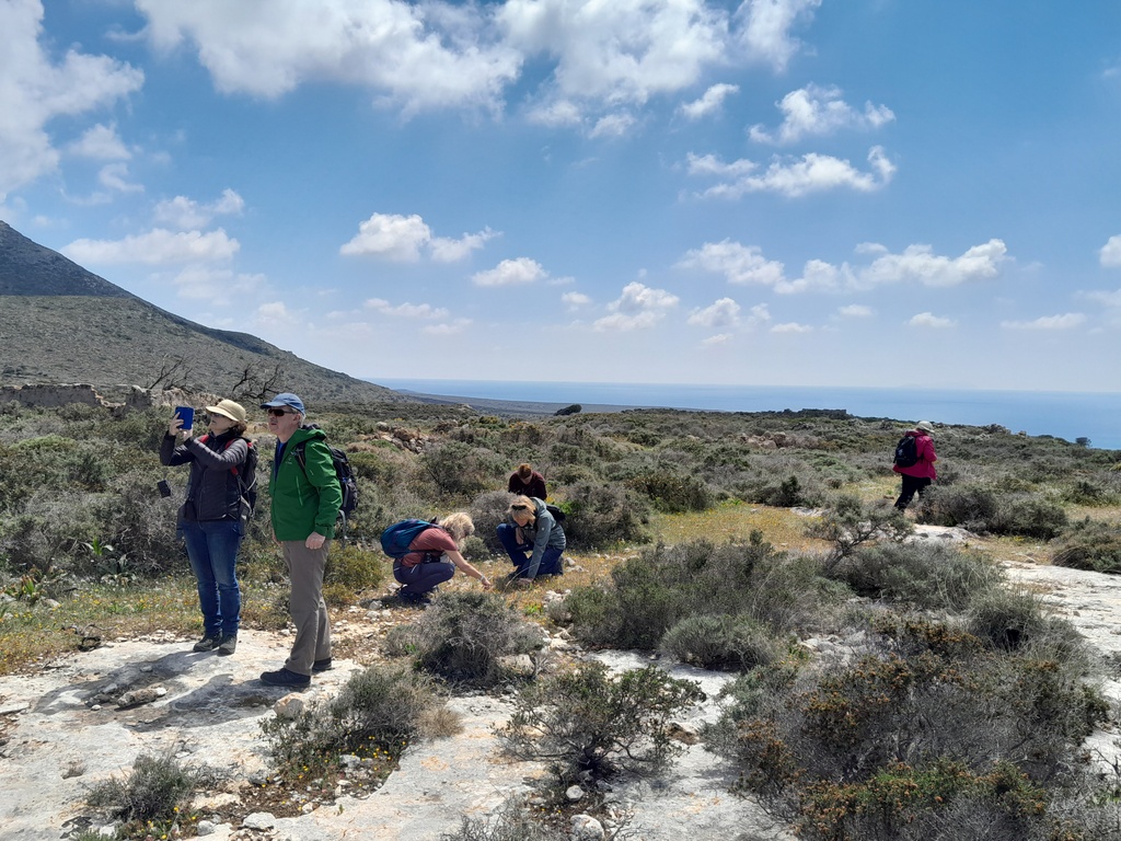 Wild Orchids Holiday Kythira